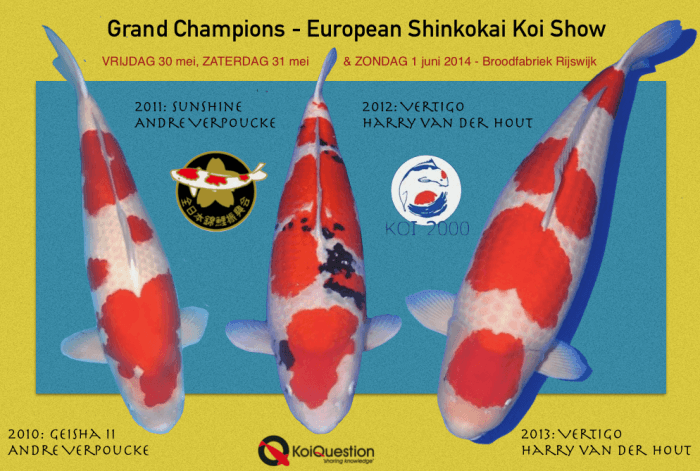 Share the Champs en ga gratis naar Rijswijk