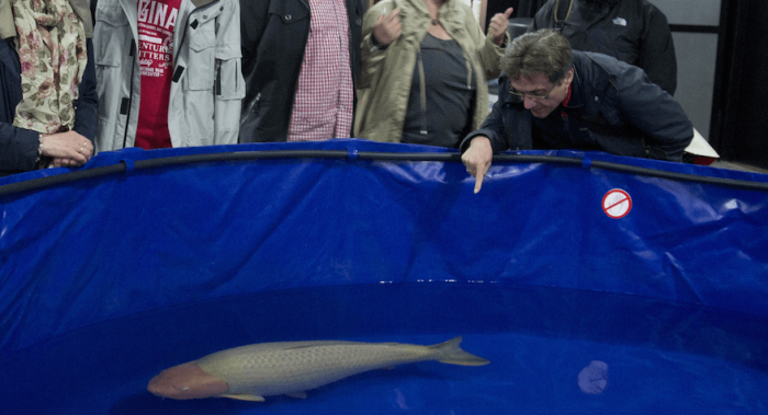 Eerste dag Interkoi 2015 daverend succes