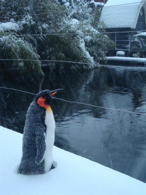 De winter komt eraan…