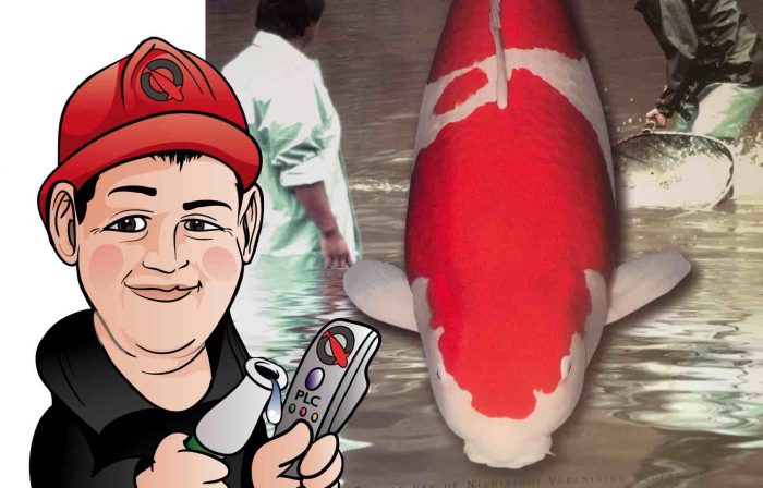 Orlando schiet Grand Champion naar de voorpagina