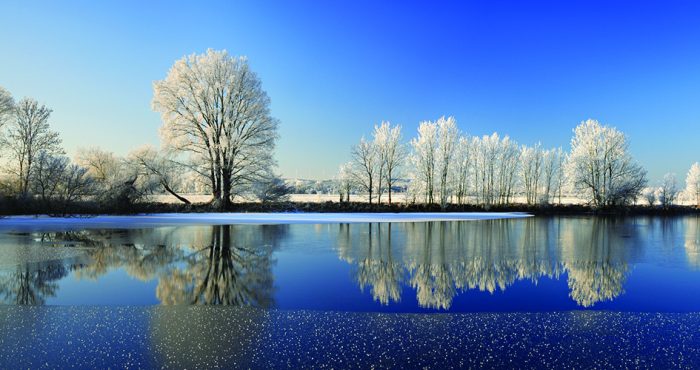 Goed de winter in met deze tips voor de vijver