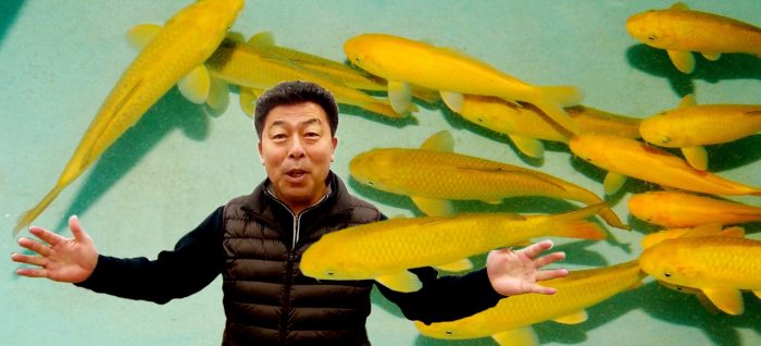 Red Label Koi Challenge