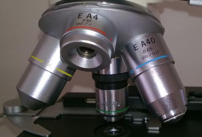 revolver op microscoop koi