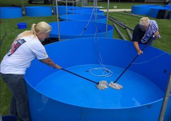 De verzwegen – en evidente – taken van de Holland Koi Show