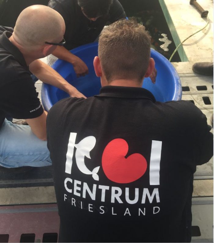 5 en 6 November Kijk en Reserveer Dagen bij Koicentrum Friesland