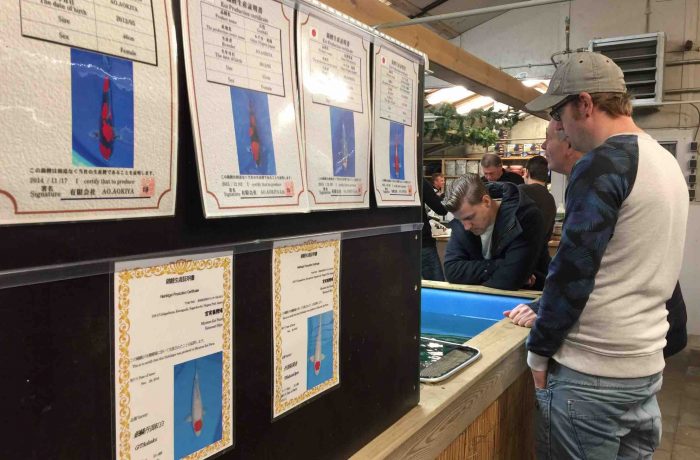 Van Zeeland naar Groningen voor een Hariwake