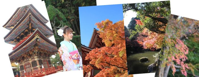 Op Japanreis? Bezoek een tempel!