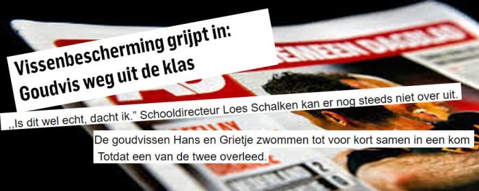 Goudvis uit de kom?