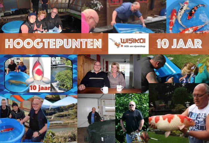De Hoogtepunten van 10 jaar WisiKoi