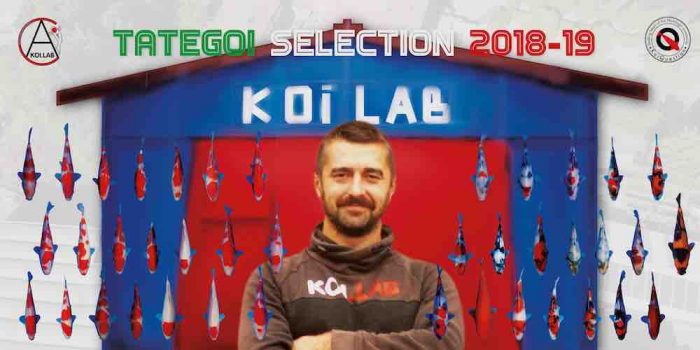 5 + 1 Italiaanse tosai tategoi besproken