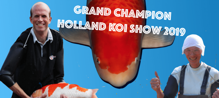 Grand Champion Holland Koi SHow 2019