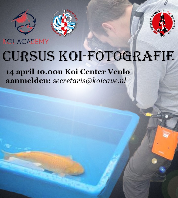 cursus koi fotografie