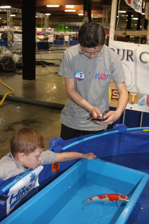 Boaz Jacobs e Sem Jacobs, sostengono il padre come volontario a una mostra di Koi per conto di KoiQuestion.