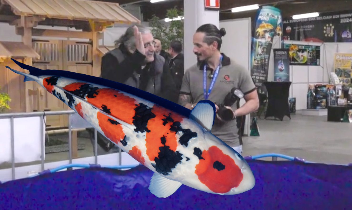 Wim de wit in gesprek met Tiebo Jacobs over zijn overwinning op de Belgian Koi Show